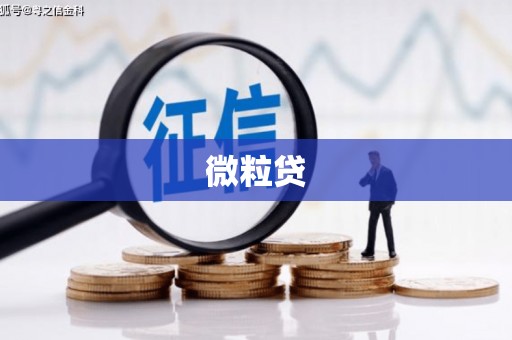 萨迦微粒贷