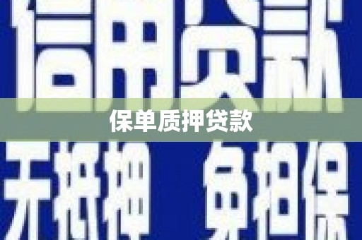 萨迦保单质押贷款