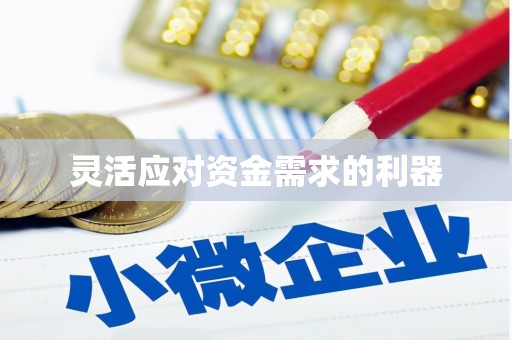 萨迦灵活应对资金需求的利器