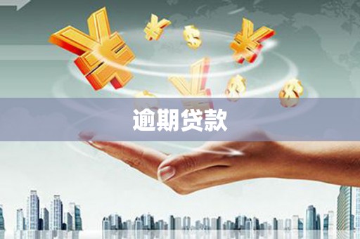 萨迦逾期贷款