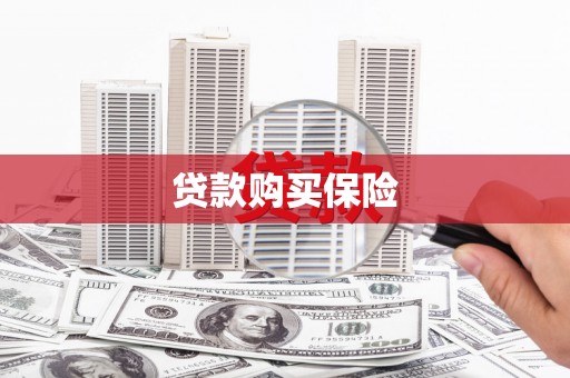 萨迦贷款购买保险