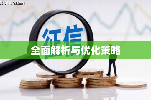 萨迦全面解析与优化策略