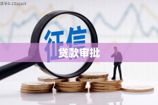 萨迦贷款审批